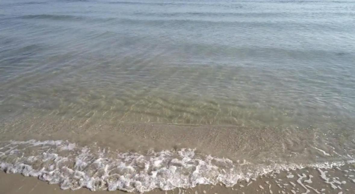 La Mia Terrazza Sul Mare - Mared'Amare Bari Exterior foto